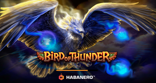 Bird of thunder