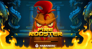 Fire rooster